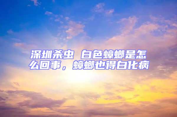 深圳殺蟲 白色蟑螂是怎么回事，蟑螂也得白化病