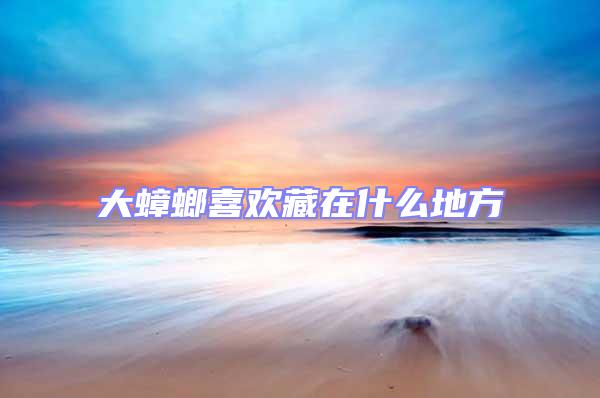 大蟑螂喜歡藏在什么地方
