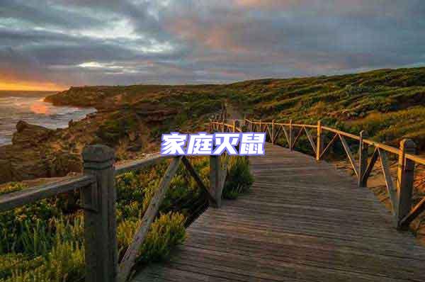 家庭滅鼠