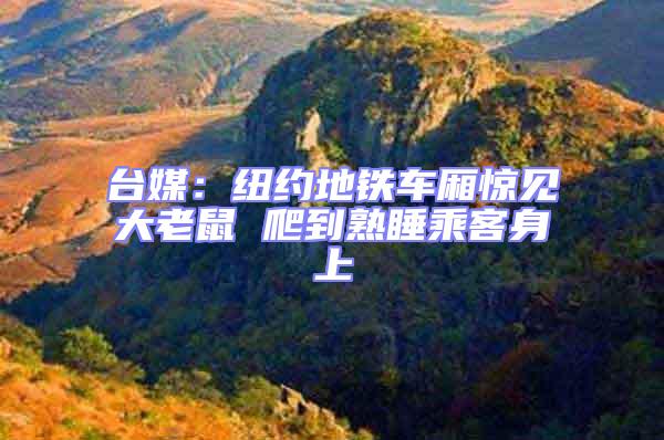 臺媒：紐約地鐵車廂驚見大老鼠 爬到熟睡乘客身上