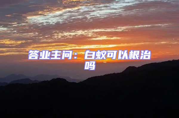 答業主問：白蟻可以根治嗎