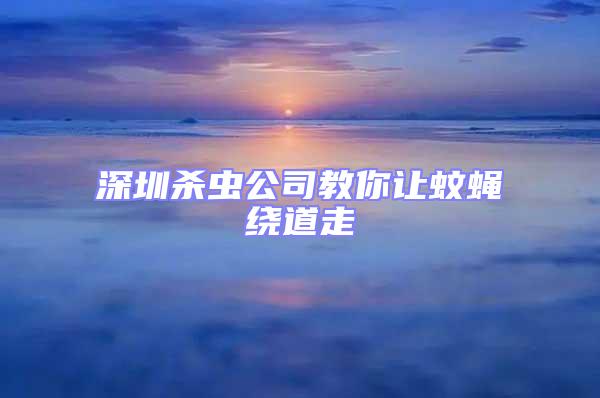 深圳殺蟲公司教你讓蚊蠅繞道走