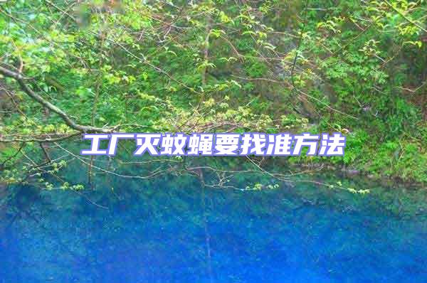 工廠滅蚊蠅要找準方法