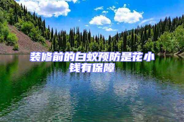 裝修前的白蟻預防是花小錢有保障