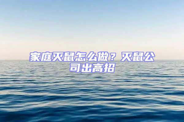 家庭滅鼠怎么做？滅鼠公司出高招