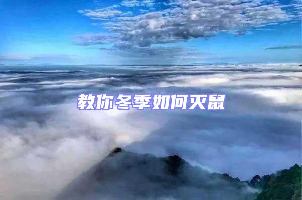 教你冬季如何滅鼠