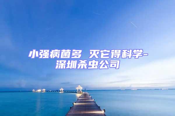 小強病菌多 滅它得科學-深圳殺蟲公司