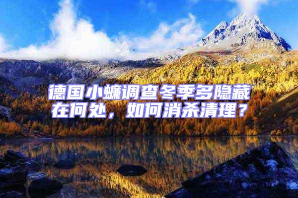 德國小蠊調查冬季多隱藏在何處，如何消殺清理？