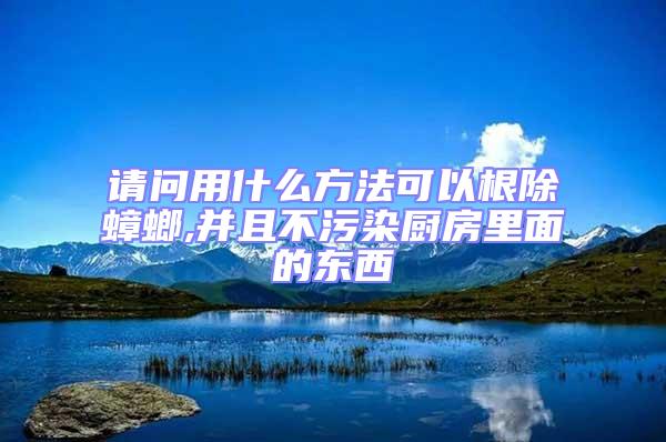 請問用什么方法可以根除蟑螂,并且不污染廚房里面的東西
