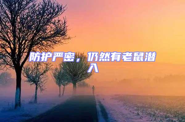 防護嚴密，仍然有老鼠潛入