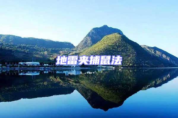 地雷夾捕鼠法