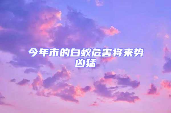 今年市的白蟻危害將來勢兇猛