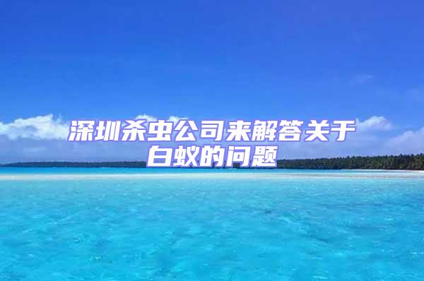 深圳殺蟲公司來解答關于白蟻的問題