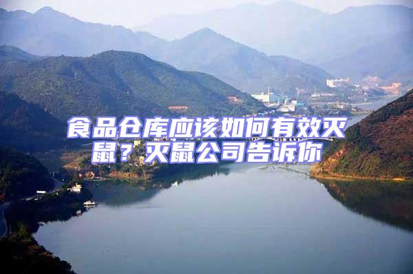 食品倉庫應(yīng)該如何有效滅鼠？滅鼠公司告訴你