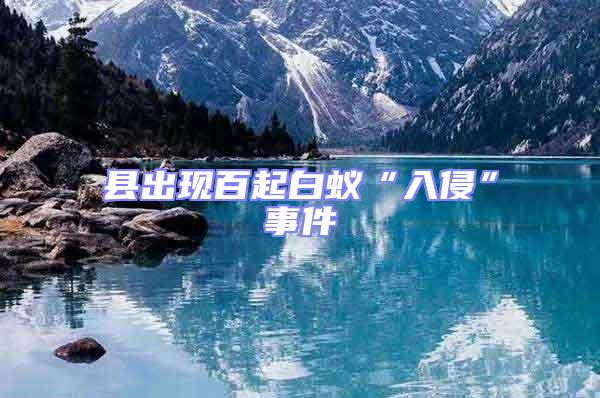 縣出現百起白蟻“入侵”事件