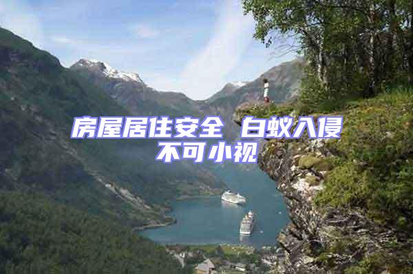 房屋居住安全 白蟻入侵不可小視