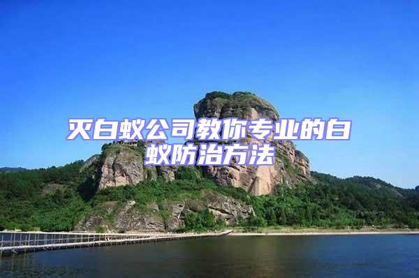 滅白蟻公司教你專業的白蟻防治方法