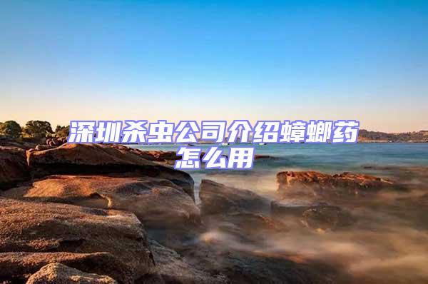 深圳殺蟲公司介紹蟑螂藥怎么用