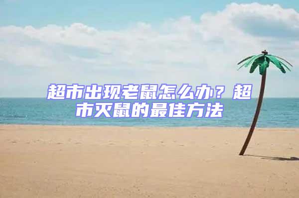 超市出現(xiàn)老鼠怎么辦？超市滅鼠的最佳方法