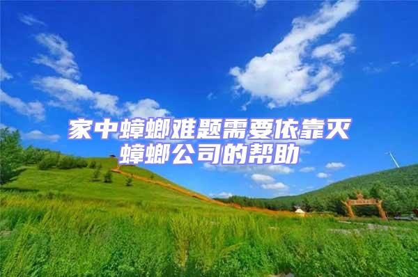 家中蟑螂難題需要依靠滅蟑螂公司的幫助