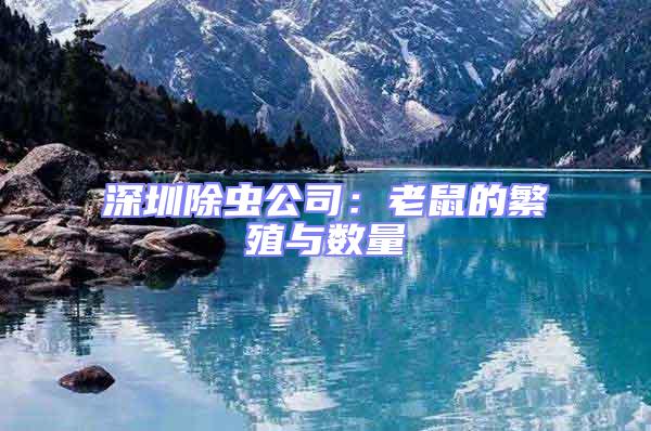 深圳除蟲公司：老鼠的繁殖與數量