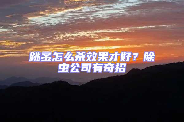 跳蚤怎么殺效果才好？除蟲公司有奇招