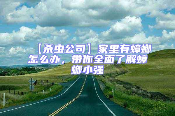 【殺蟲公司】家里有蟑螂怎么辦，帶你全面了解蟑螂小強