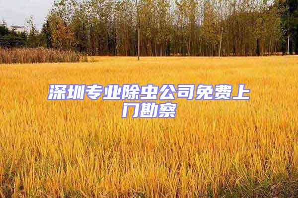 深圳專業除蟲公司免費上門勘察