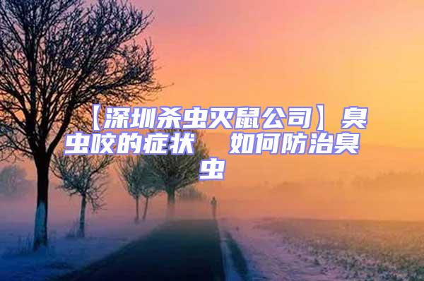 【深圳殺蟲滅鼠公司】臭蟲咬的癥狀  如何防治臭蟲