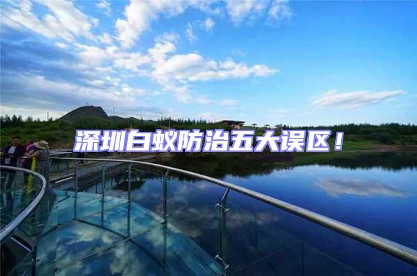 深圳白蟻防治五大誤區！