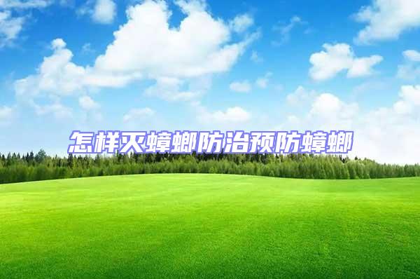 怎樣滅蟑螂防治預防蟑螂