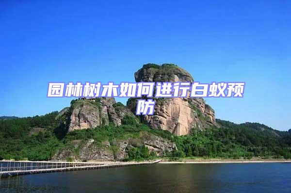 園林樹木如何進行白蟻預防