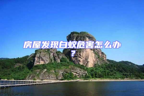 房屋發(fā)現(xiàn)白蟻危害怎么辦？