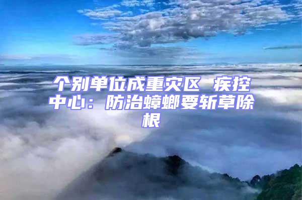 個別單位成重災區 疾控中心：防治蟑螂要斬草除根