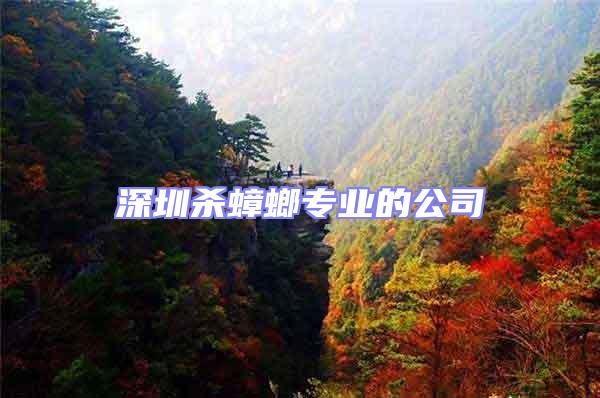 深圳殺蟑螂專業(yè)的公司