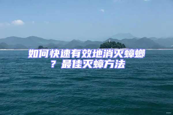 如何快速有效地消滅蟑螂？最佳滅蟑方法