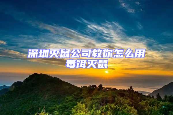 深圳滅鼠公司教你怎么用毒餌滅鼠