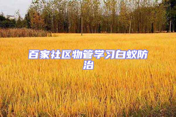 百家社區物管學習白蟻防治
