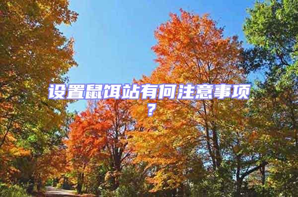 設置鼠餌站有何注意事項？