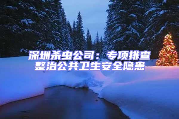 深圳殺蟲公司：專項排查整治公共衛生安全隱患