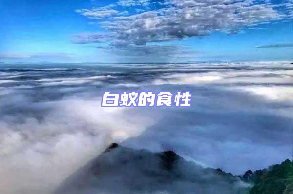 白蟻的食性