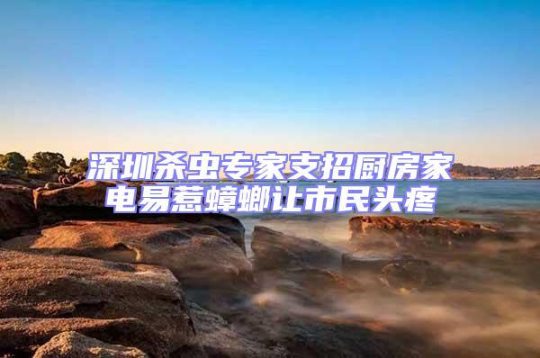 深圳殺蟲專家支招廚房家電易惹蟑螂讓市民頭疼