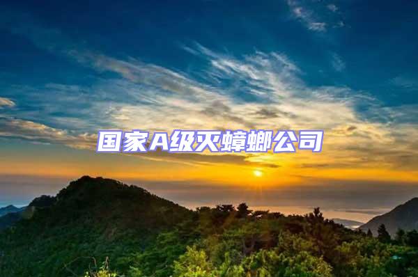 國家A級滅蟑螂公司