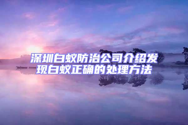 深圳白蟻防治公司介紹發現白蟻正確的處理方法