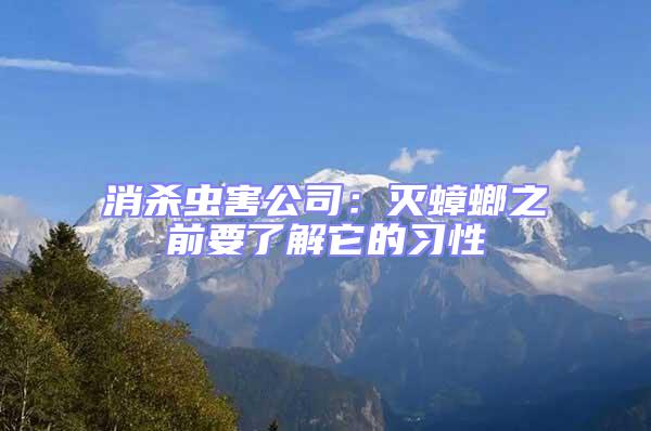 消殺蟲害公司：滅蟑螂之前要了解它的習(xí)性