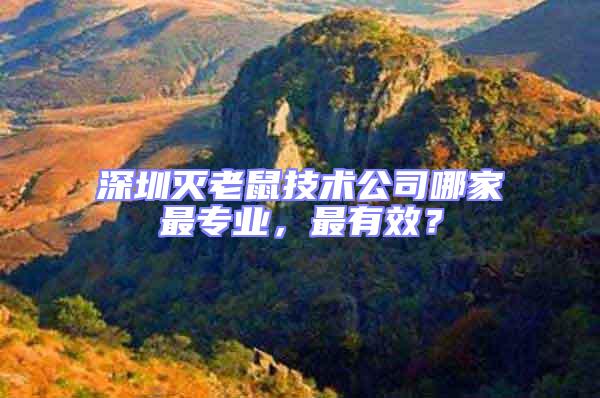 深圳滅老鼠技術公司哪家最專業，最有效？