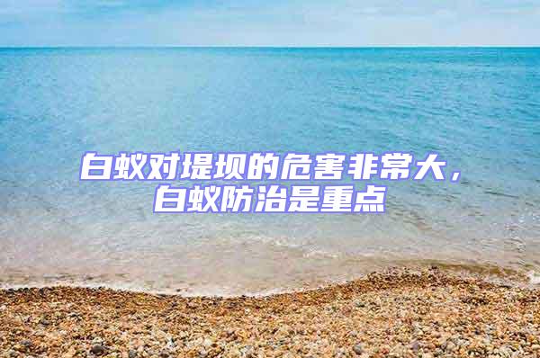 白蟻對堤壩的危害非常大，白蟻防治是重點