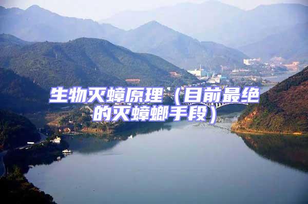 生物滅蟑原理（目前最絕的滅蟑螂手段）
