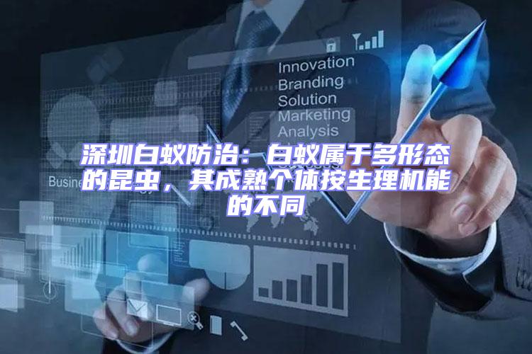 深圳白蟻防治：白蟻屬于多形態的昆蟲，其成熟個體按生理機能的不同