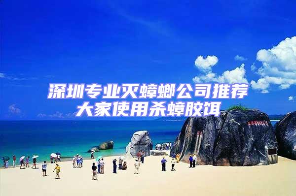 深圳專業滅蟑螂公司推薦大家使用殺蟑膠餌